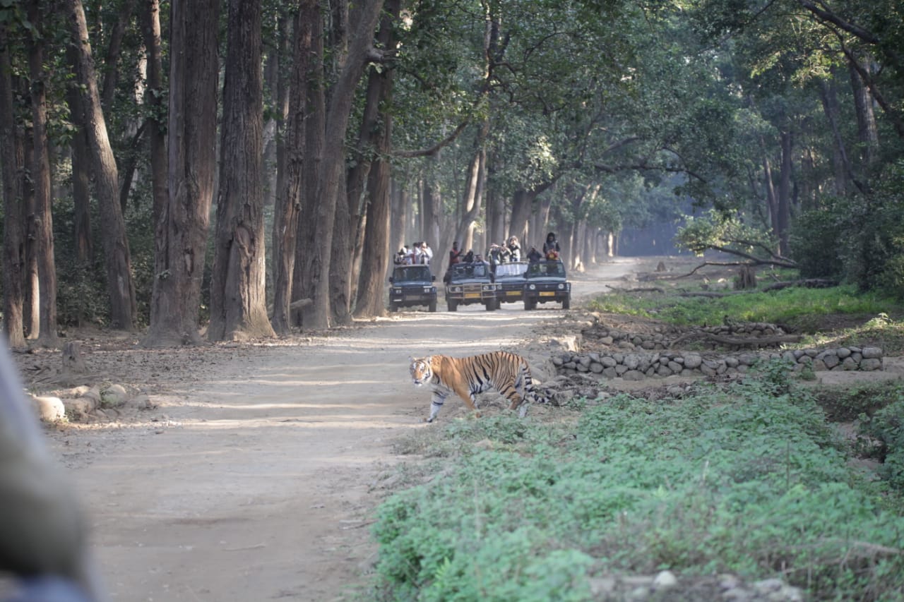 Tourists enjoying a jeep safari in Corbett